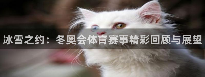 柠檬直播足球赛事：冰雪之约：冬奥会体育赛事精彩回顾与展望